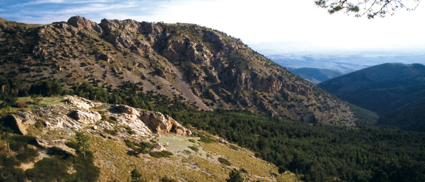 3 días y 2 noches en Casas Cueva de lujo en Guadix (Granada) + Caja de Bombones, Botella de Vino y Leña